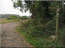SU5453 : Weathered footpath sign by Mr Ignavy