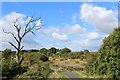 Footpath joining National Cycle Network Route 73 at Knockentiber