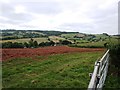 Newly ploughed field next to Manstree Road