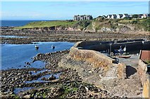 NO6107 : Low tide at Crail harbour by Jim Barton