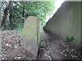 Footpath, Penny Spring Wood