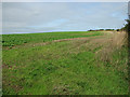 Field north of Briston Road