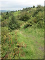 Footpath - Hangingstone Road