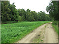 Footpath south of Barningham Green Plantation