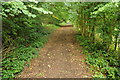 Footpath at Buckholt