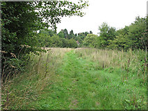 TQ7197 : Path through Crowsheath Community Woodland, Downham by Roger Jones