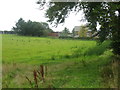 Grazing lands below Glenzier Hill