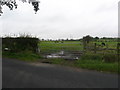 Gate in to the field  off the B702 at Waughslea