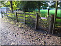 Footpath from Hagley Hall