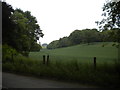 Undulating field near Bestwood Country Park