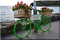 NO5402 : Green bicycle, Pittenweem by Jim Barton