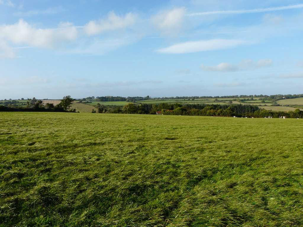 Grassland © derek menzies Geograph Ireland