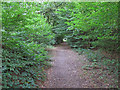 TQ7296 : Path into  Crowsheath Wood, Downham by Roger Jones