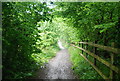 Track to disused railway track