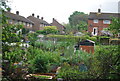 Allotments by the Worth Way