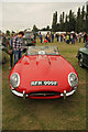 SK8260 : Jaguar E type by Richard Croft