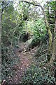 Mid Devon : Back Lane