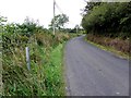 H1213 : Road at Camagh by Kenneth  Allen