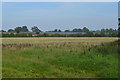 Looking towards Down House Farm