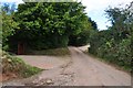 Mid Devon : Country Lane