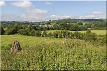 SO1154 : Field near The Mount, Hundred House, Powys by Christine Matthews