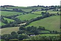 Mid Devon : Grassy Hillsides