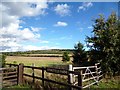 Springfield Farm Gate