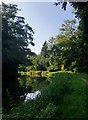 The River Wey Navigation below Cart Bridge