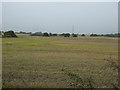 Farmland north of Shaw Lane