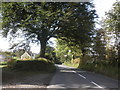 Approach to Simonsbath, from the east