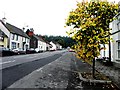 Main Street, Gortin