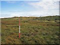 NG3937 : Surveyor's pole? by Richard Dorrell