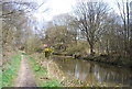 Basingstoke Canal