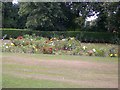 Roses in Netherton Park