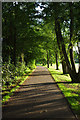 Riverside path between Ware and Hertford