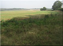 SU5552 : Fields on Summer Down by Mr Ignavy