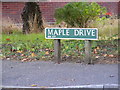 TG1514 : Maple Drive sign by Geographer