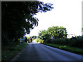 Entering Felthorpe on The Street