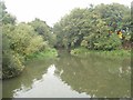 River Mole below Royal Mills weir at Esher