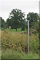 Footpath to Brookhouse Farm