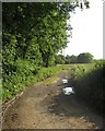 Track near Dunsley Farm