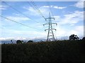 NZ2437 : An electricity pylon near Tudhoe Lodge by Stanley Howe