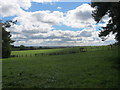 Pastures just west of Charlaw