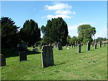 ST7818 : St Gregory, Marnhull: churchyard (B) by Basher Eyre