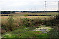 Pond and pylons by Turvey Road