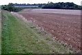 Bridleway to Turvey by Horseclose Spinney