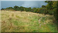 Footpath at Batchworth Heath