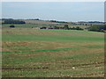 Farmland south of Goulceby