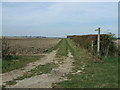 Footpath off Green Lane