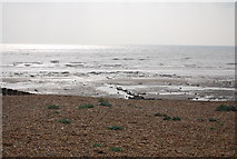 TQ8913 : Low tide at Pett by N Chadwick